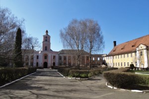 Замок Радзивиллів, Олика